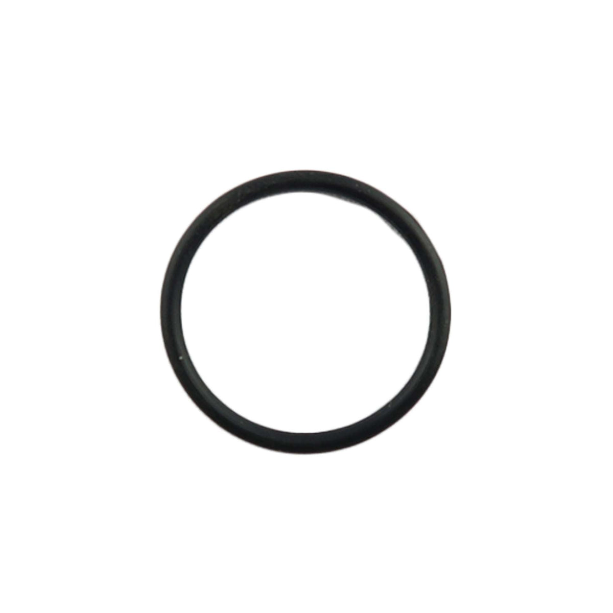 Biasi O'Ring Gasket BI1001128