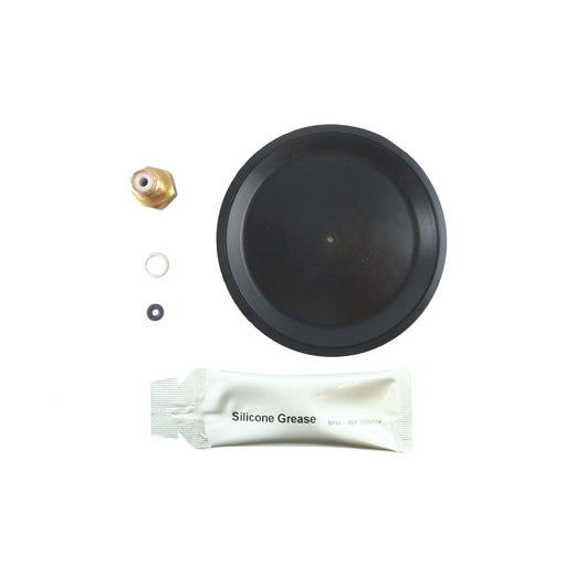 Alpha 240 240E Eco, 240P DHW Domestic Hot Water Diaphragm Repair Kit 6.1000765