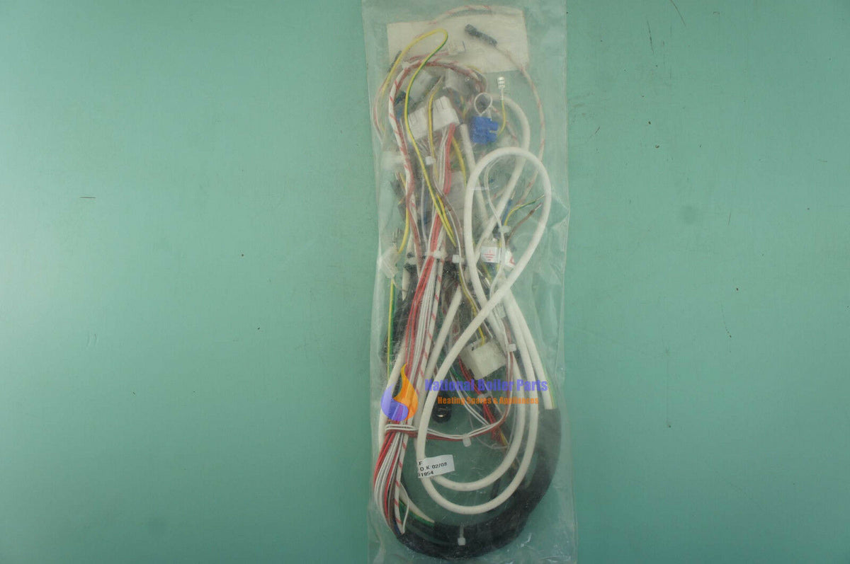 Heatline Boiler Wiring Harness 3003201954